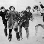 Tages
Kallt sa räven